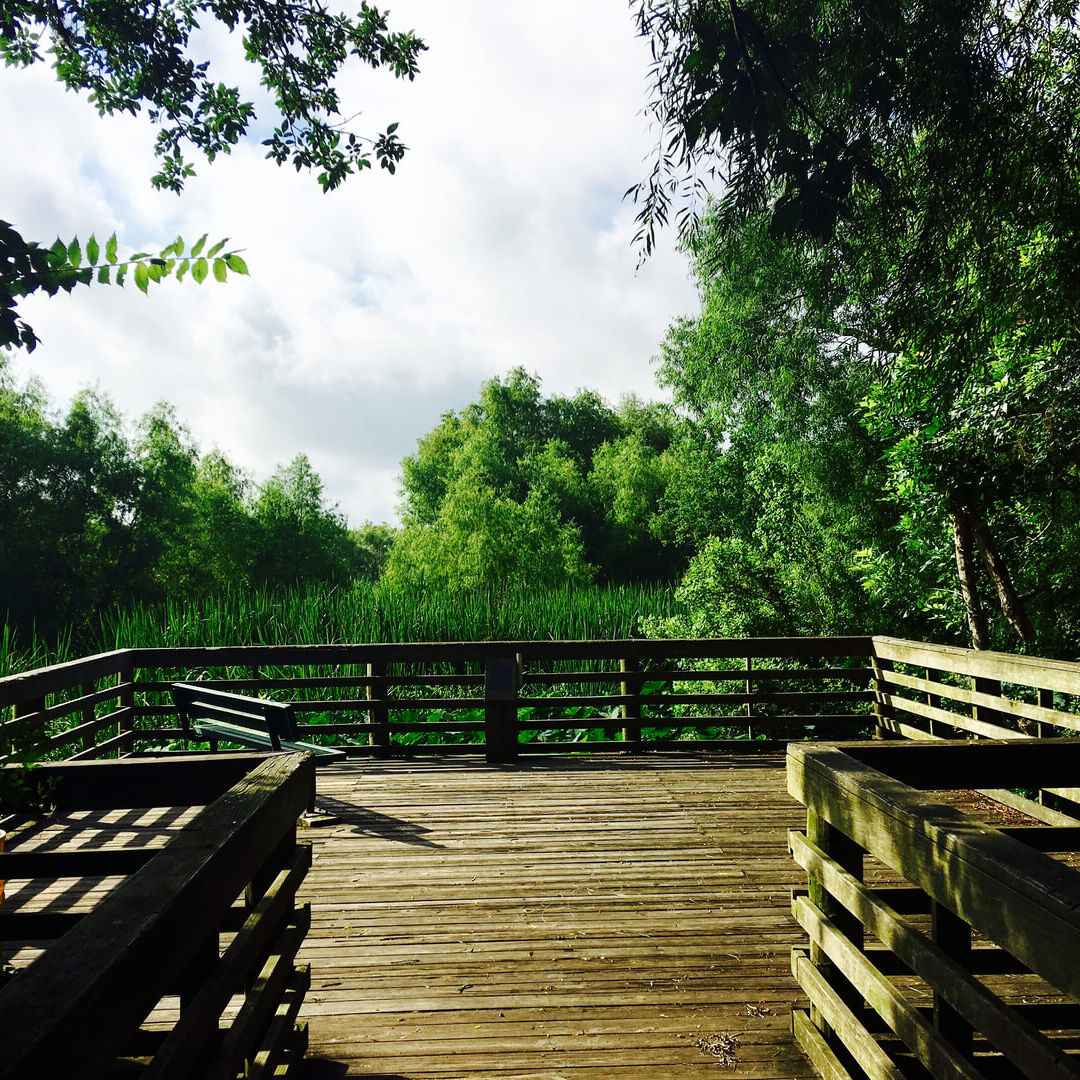 Winterman Wildlife Area photo